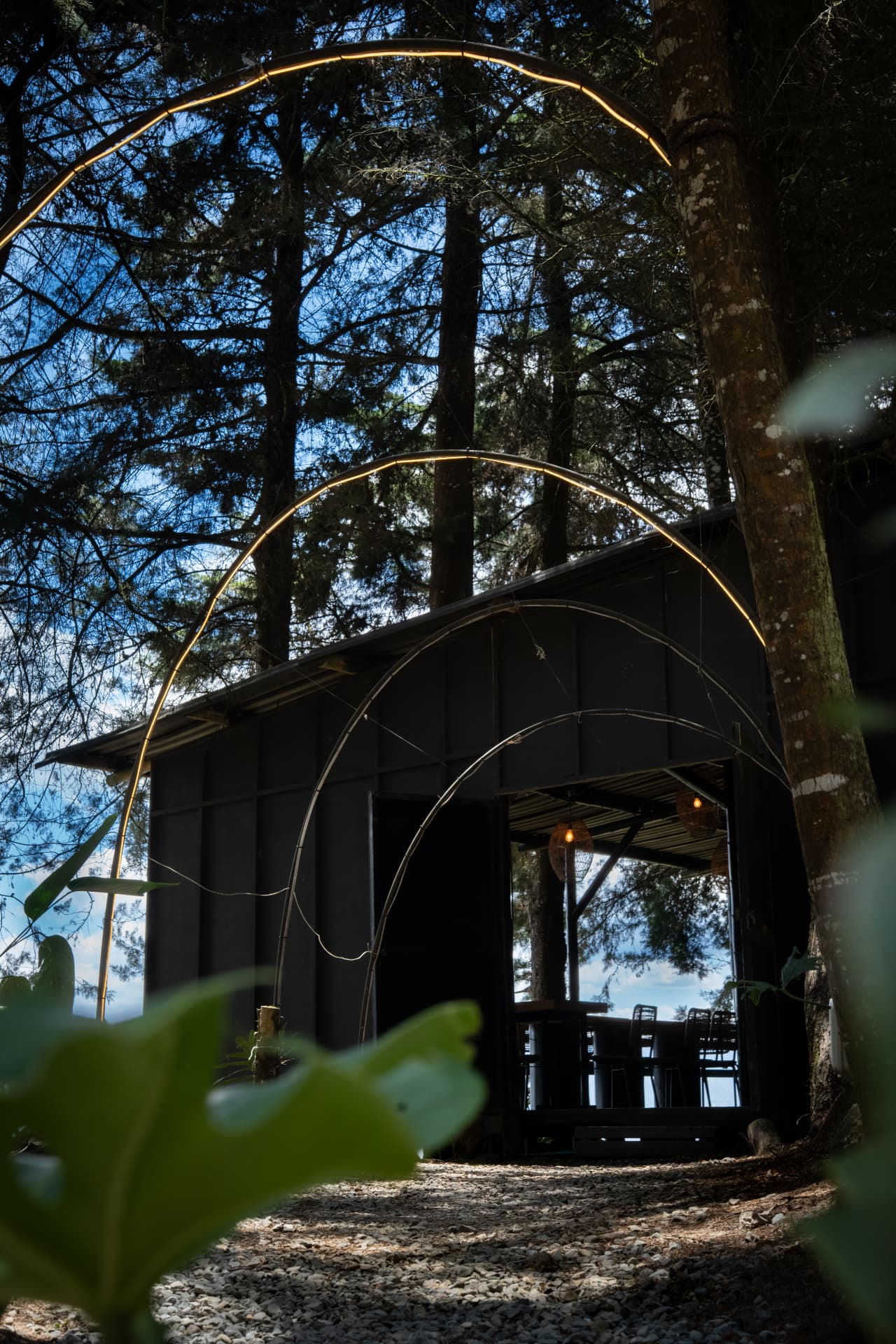 Entrada de Ocazo entre pinos con arcos iluminados